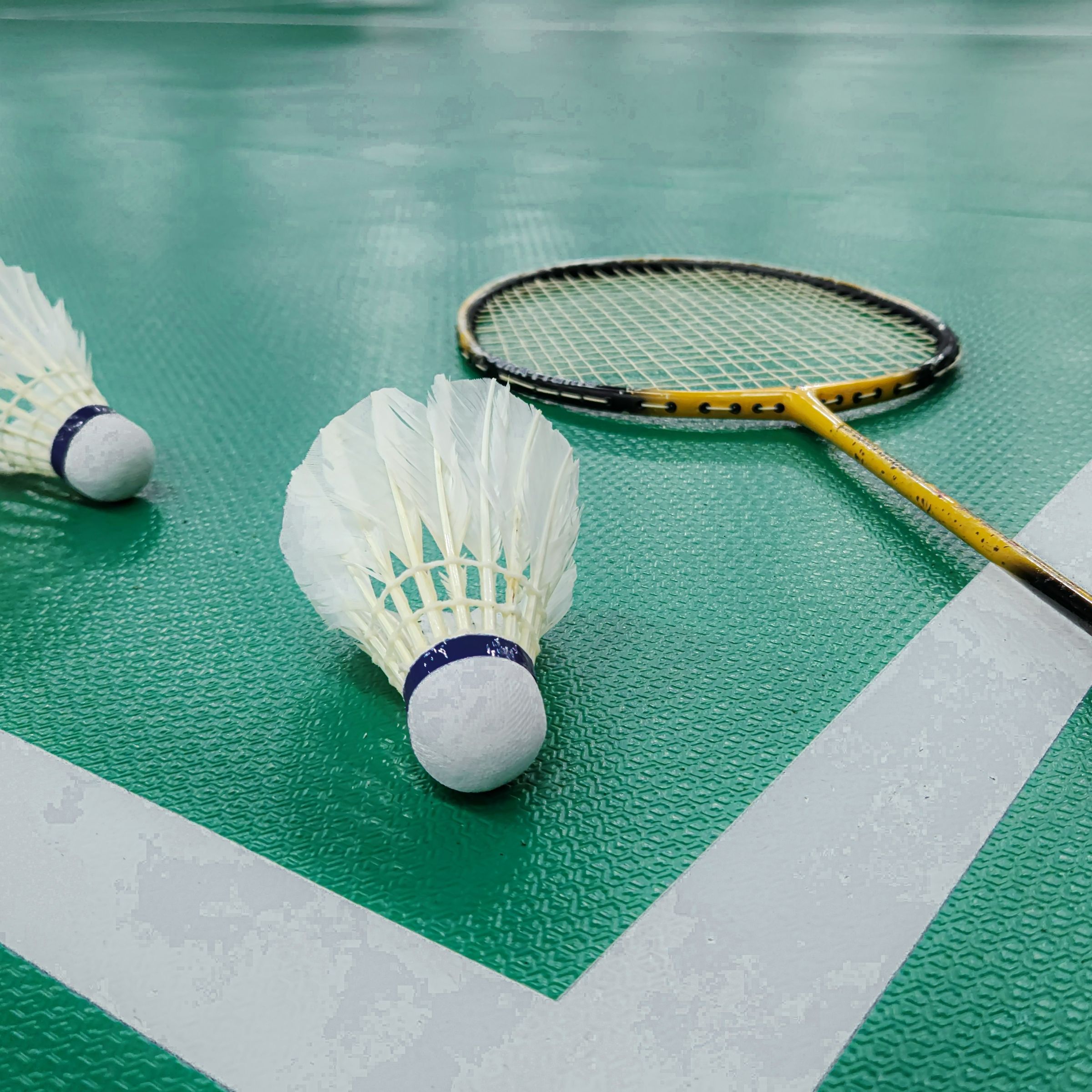 Badminton Course