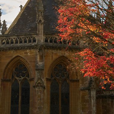 Christmas At Tyntesfield