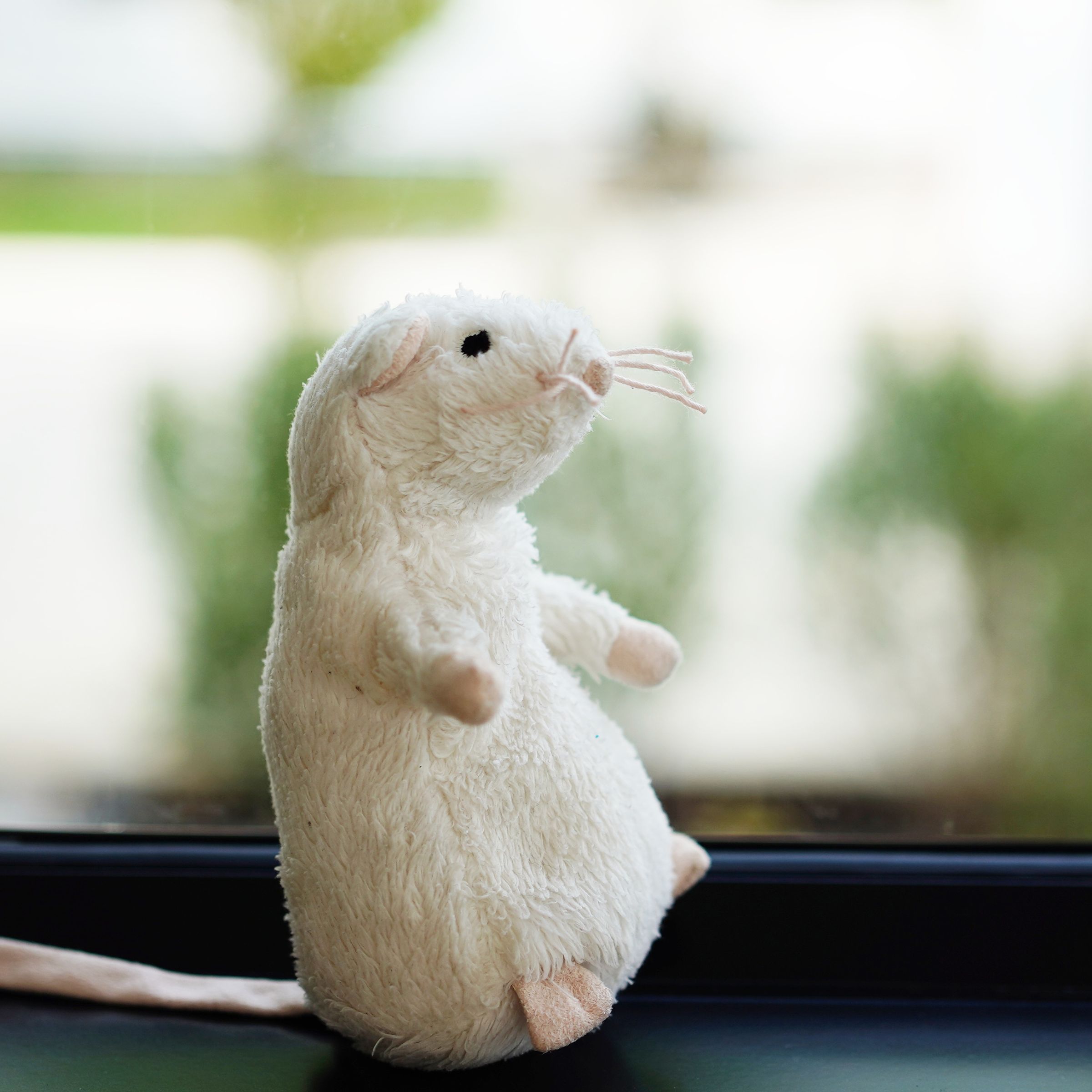 Snow Mice at The Egg Theatre | The Carers' Centre