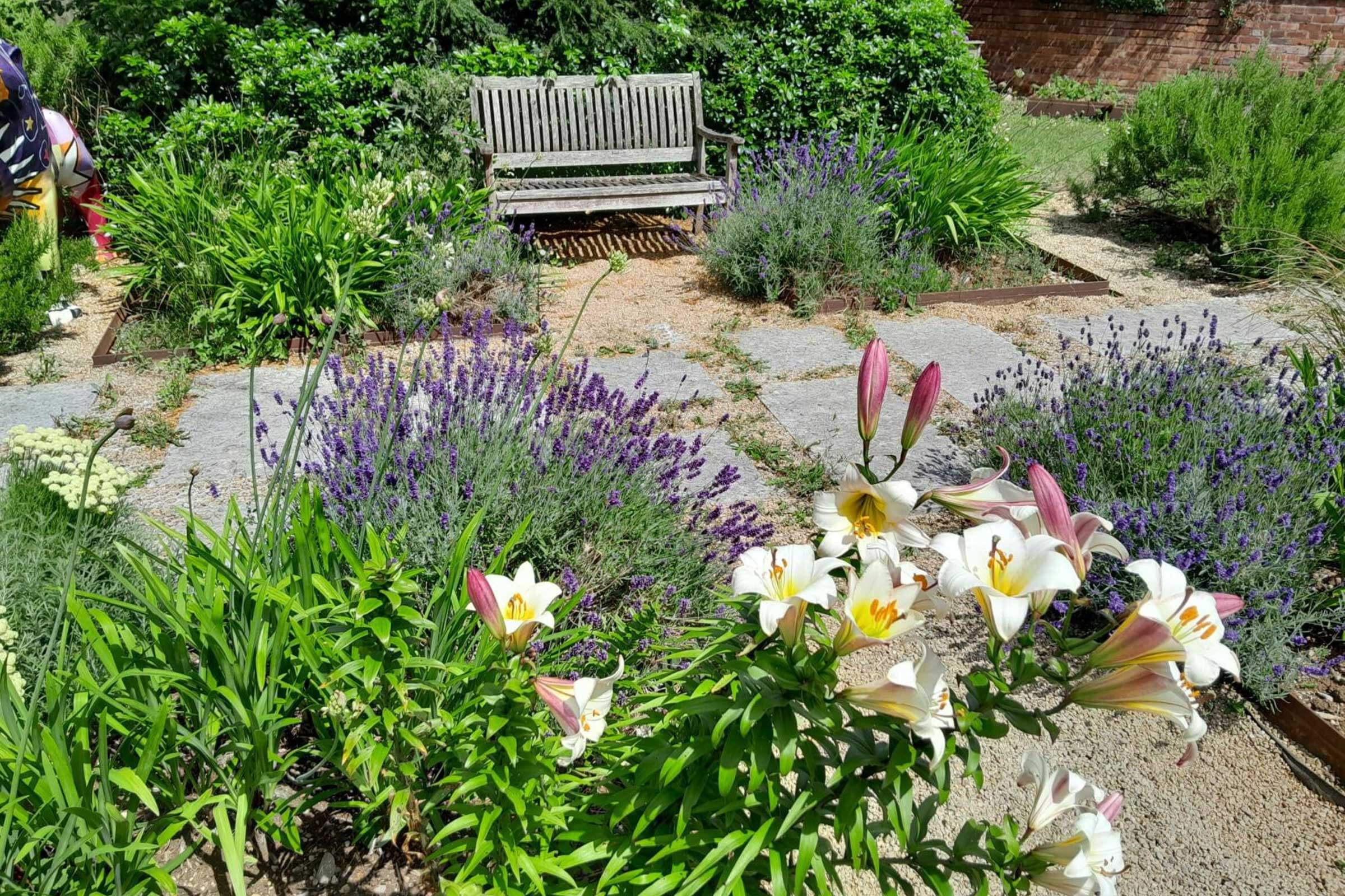 Garden with lilys 