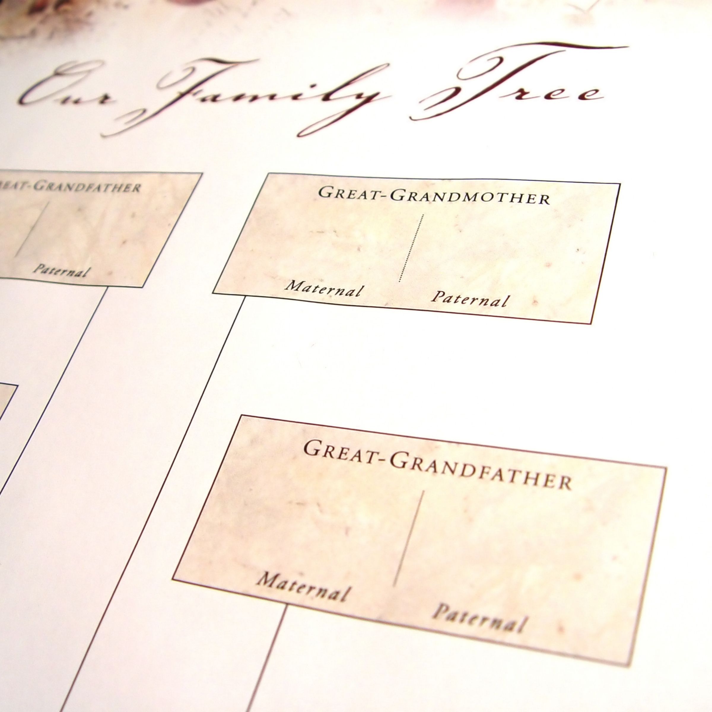 Bath Colonial Family Trees