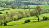 View over rolling green fields