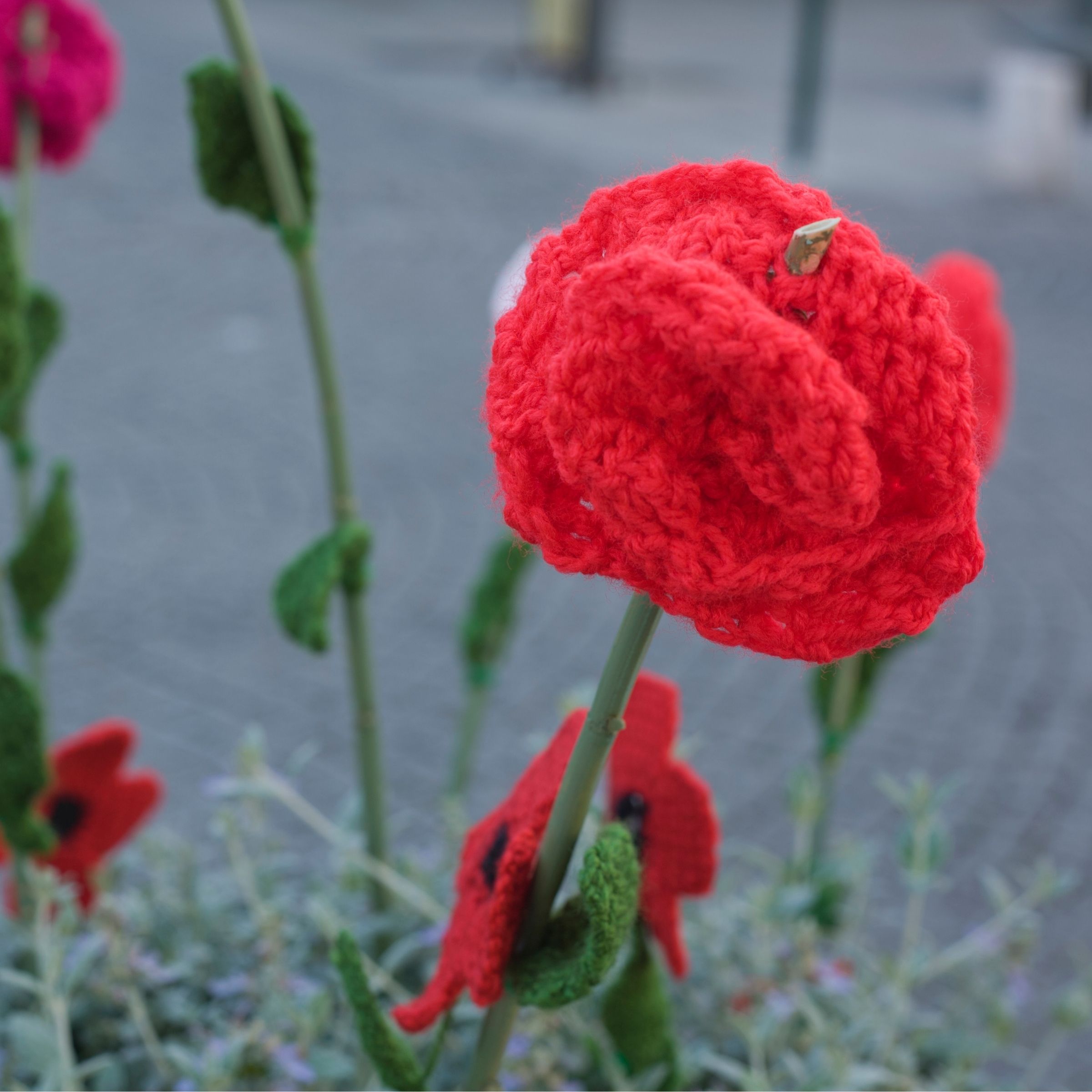 Poppy Project