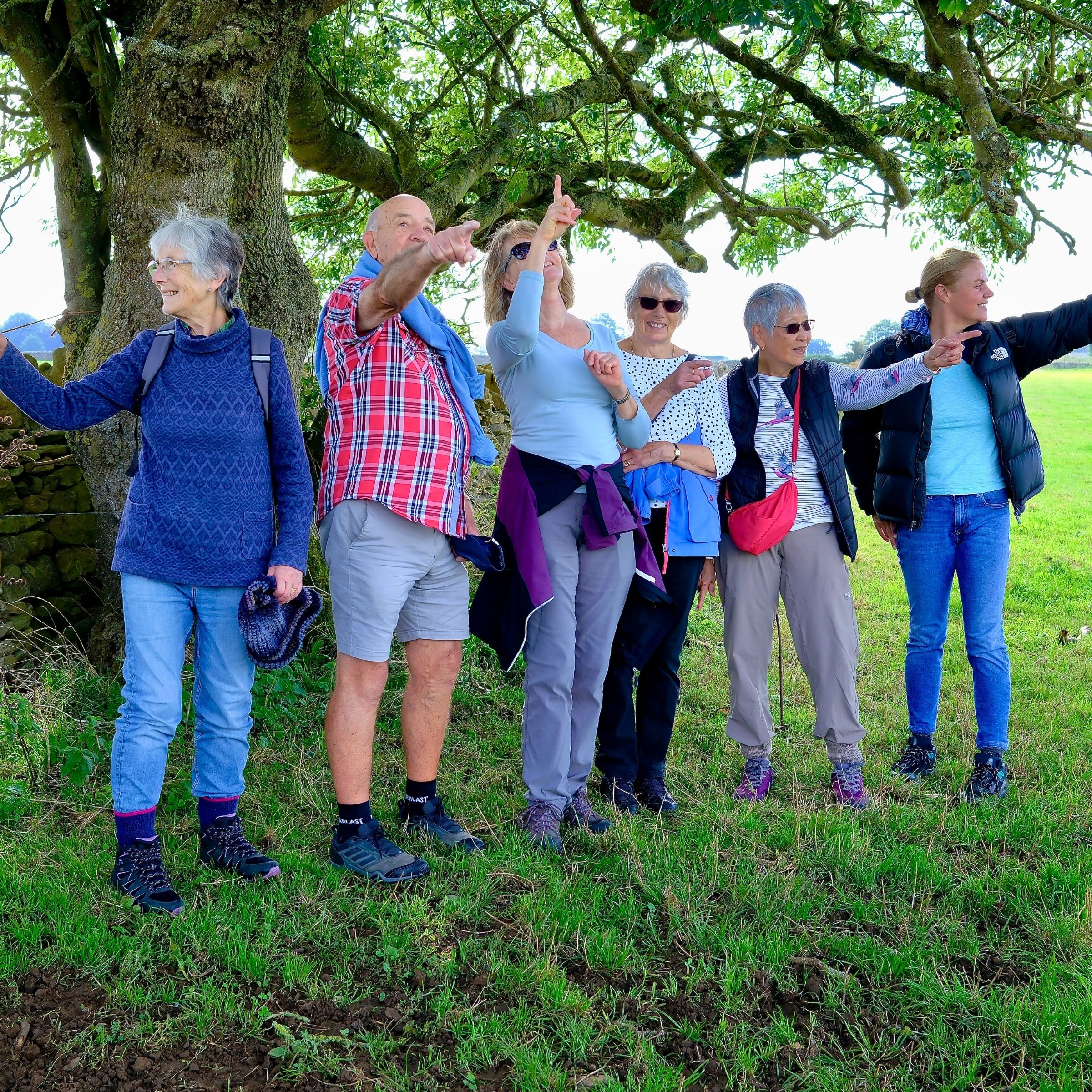 Historic Widcombe Walk