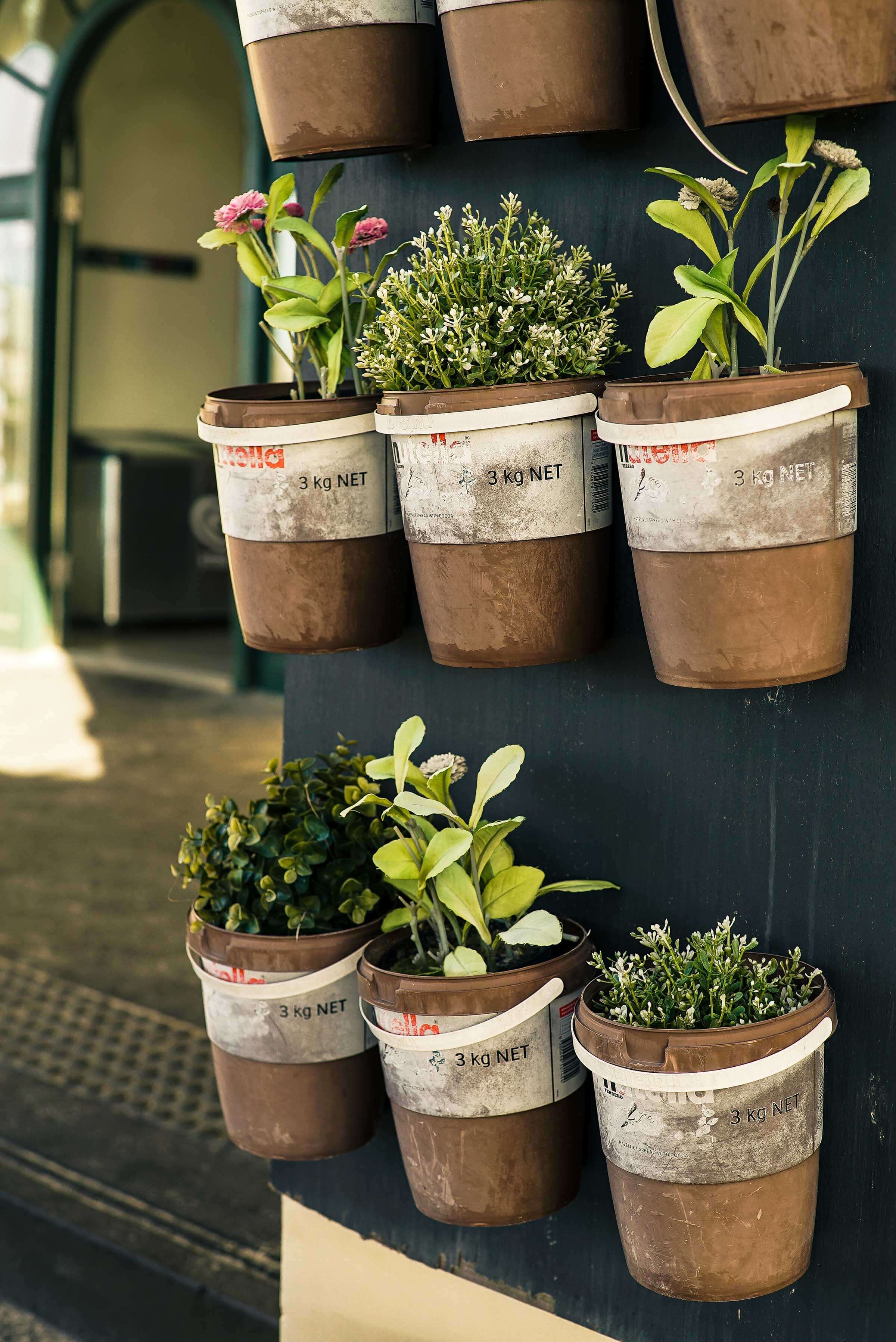 Pot planets hung on the wall
